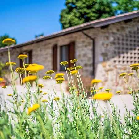 Dom wakacyjny Giuncheto-3 By Interhome