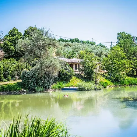 Giuncheto-3 By Interhome * Pilonico Paterno